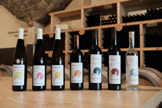 I nostri vini