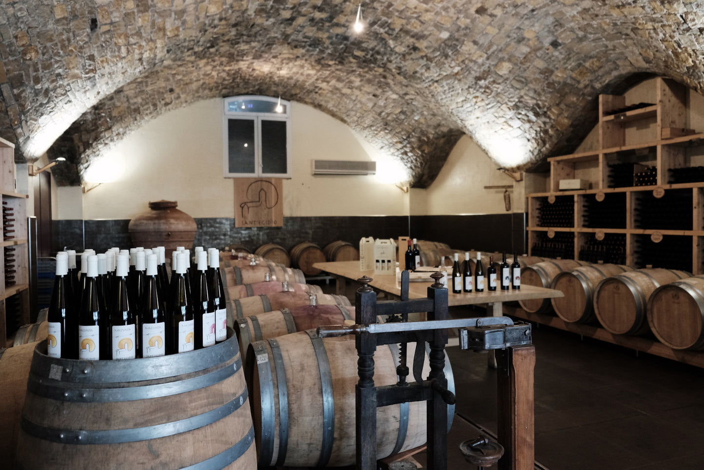 Visita guidata alla cantina con degustazioni di 3 vini